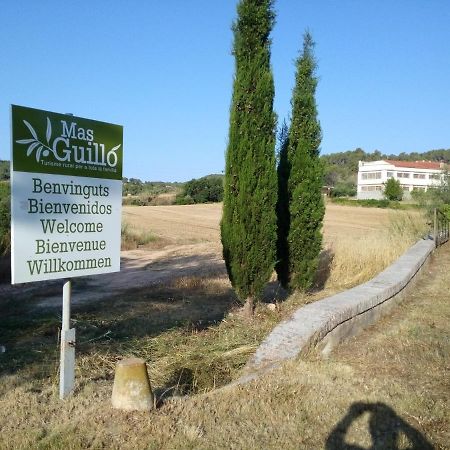 San Quintín de Mediona La Nursery De Mas Guillo מראה חיצוני תמונה