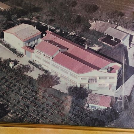 San Quintín de Mediona La Nursery De Mas Guillo מראה חיצוני תמונה